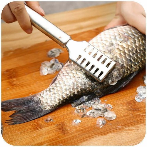 Stainless steel fish - stainless, cleaner