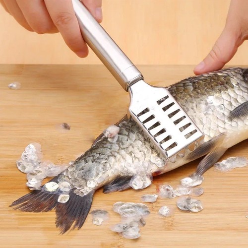Stainless steel fish - stainless, cleaner